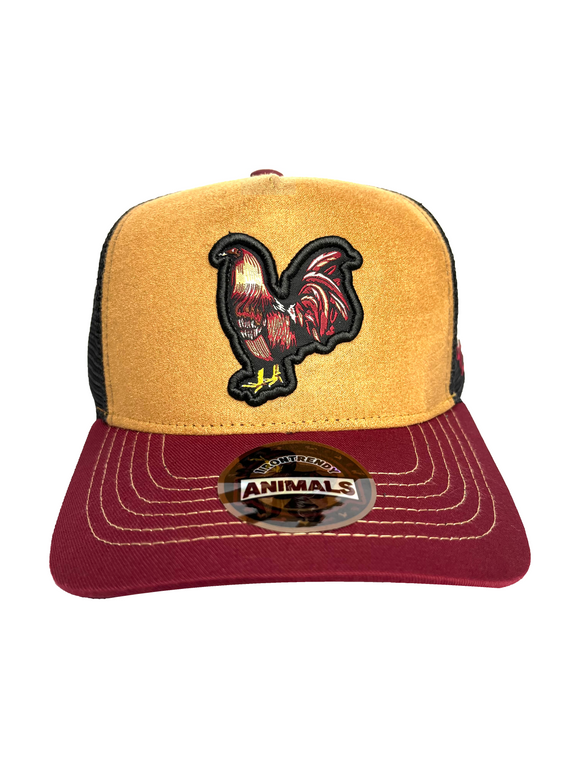 1IRONTRENDY GALLO GIRO PALENQUE